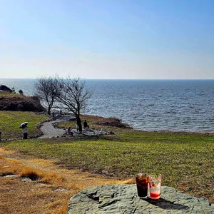 카페보리 리뷰 사진