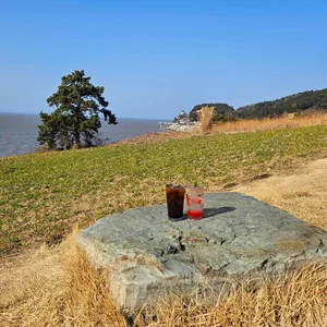 카페보리 리뷰 사진