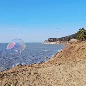 카페보리 리뷰 사진