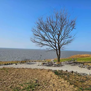 카페보리 리뷰 사진