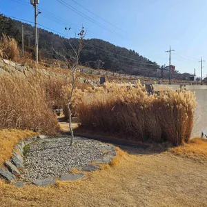 카페보리 리뷰 사진