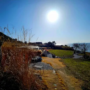 카페보리 리뷰 사진