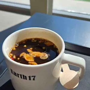 어스17 대표 사진