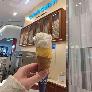 젤라띠젤라띠 사진 1