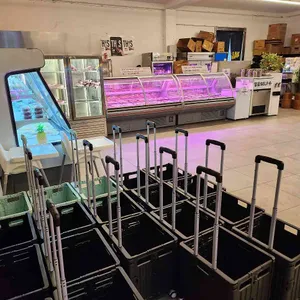 몽작 대표 사진