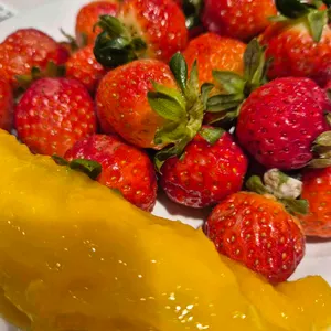 애슐리퀸즈 사진