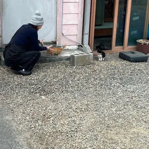 산해식당 대표 사진