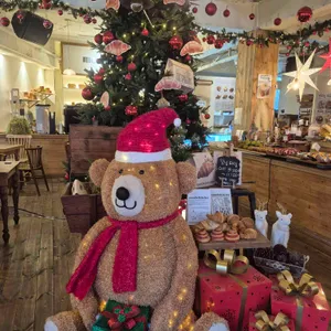 몽벨쉘터 리뷰 사진