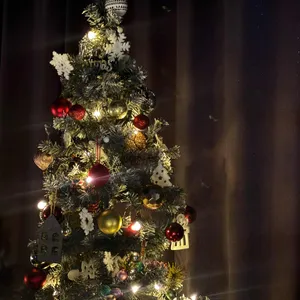 8998여름 대표 사진