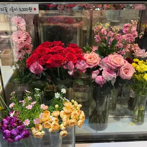 그린앤코 리뷰 사진