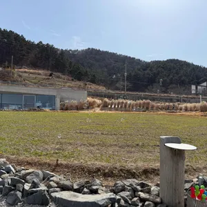 카페 보리 사진 2