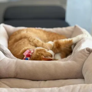 카페보리 대표 사진