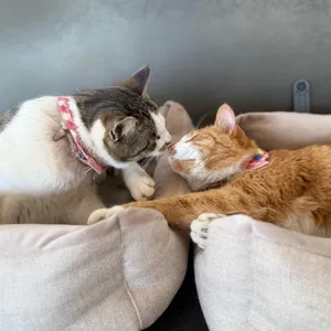 카페보리 대표 사진