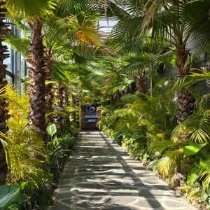 퍼시먼 커피 대표 사진