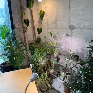 나이브 대표 사진