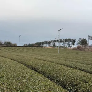 오설록 티 뮤지엄 대표 사진