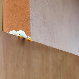 브리나케오슈 사진