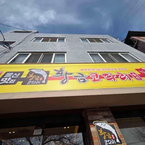 황금코다리 사진 1