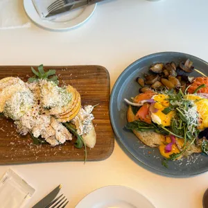 오트 대표 사진