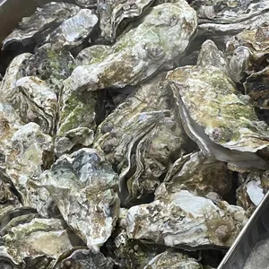 천하장사냉면굴전문 대표 사진