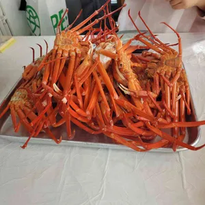 선화네 대표 사진