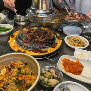 신마포갈매기 사진