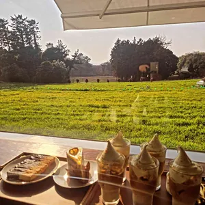 비케이브 리뷰 사진