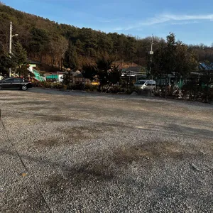 천도시 리뷰 사진