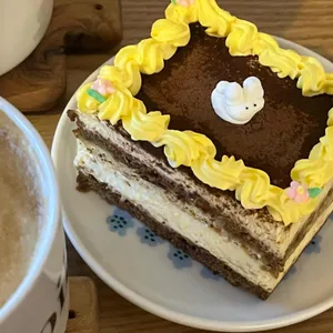 코이크 대표 사진