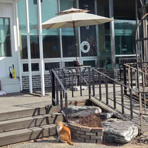 카페 이십구번길 사진 2