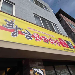 황금코다리 사진 2