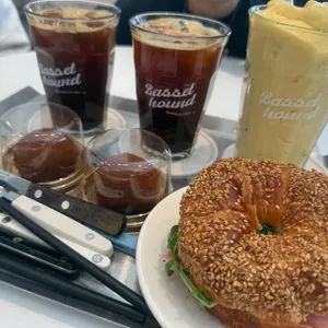 바셋하운드 사진 2