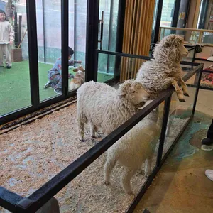 애니멀클럽 사진