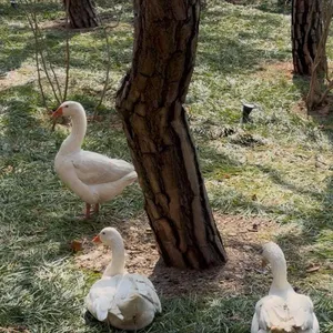 파이퍼 베이커리&카페 대표 사진