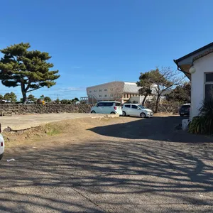 단소 리뷰 사진