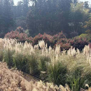 PLANT827 리뷰 사진