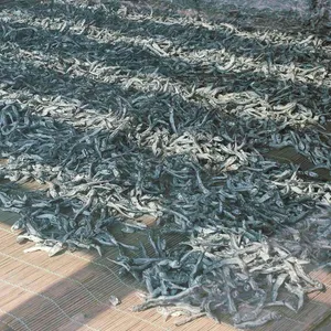 도자기에국시한그릇 사진