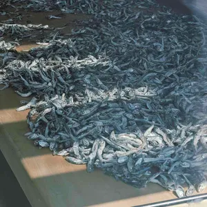 도자기에국시한그릇 사진