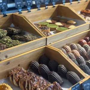 코니 대표 사진