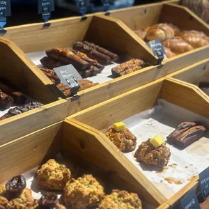 코니 대표 사진