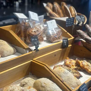 코니 대표 사진