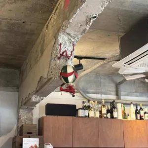 코니 대표 사진