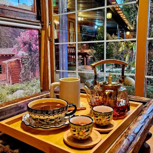 아침흙향 대표 사진