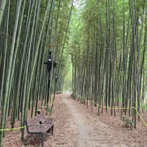 라플라타 대표 사진