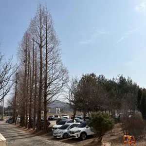 모쿠슈라 프렌치카페 리뷰 사진