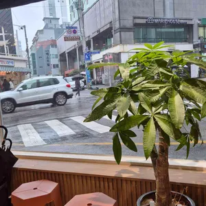 디어미크 리뷰 사진