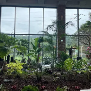 라라보타닉 대표 사진