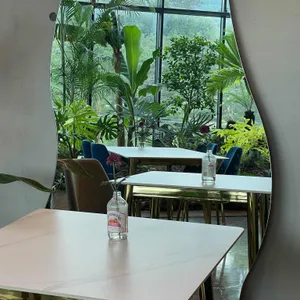 라라보타닉 대표 사진