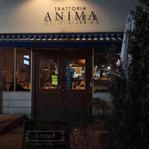 아니마 대표 사진