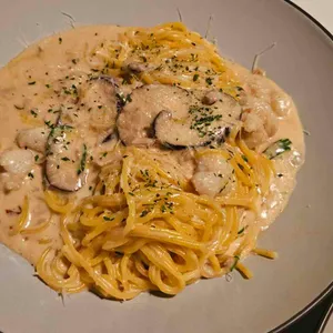 아니마 대표 사진